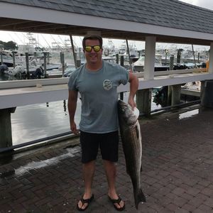 Meet your Posher, Mike